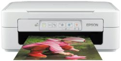 Epson Expression Home Printer (XP-247)